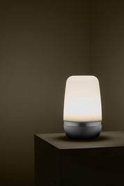 Spirit LED utomhuslampa 25 cm Moonbeam