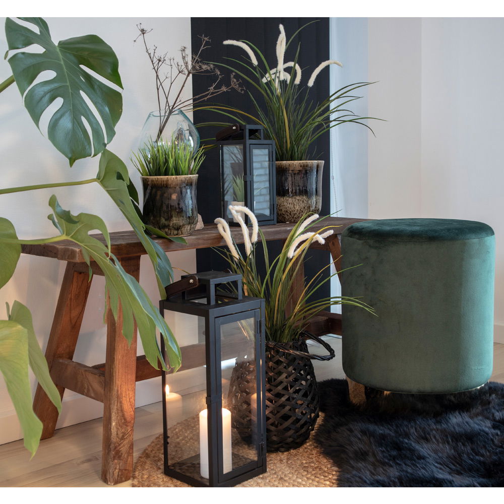 Barcelona bänk, Natur