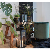 Barcelona bänk, Natur
