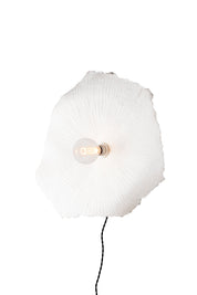 Plafond/Vägglampa Tropez 60 Natur
