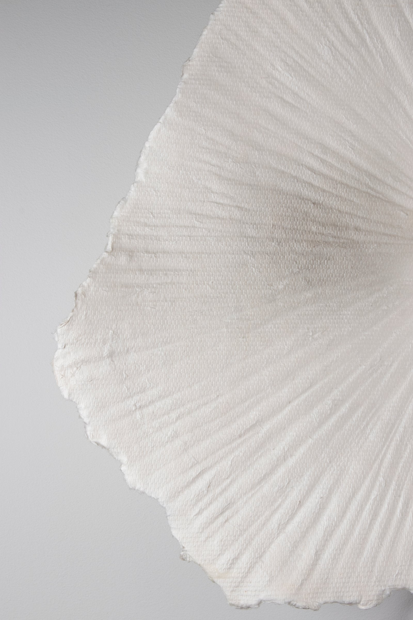 Plafond/Vägglampa Tropez 60 Natur