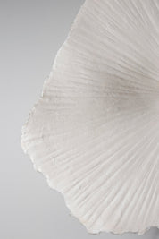 Plafond/Vägglampa Tropez 60 Natur