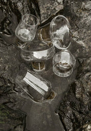 Koyoi Likörglas 13 cl