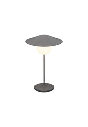 Ani Mini LED-lampa 21,5 cm, Warm Gray