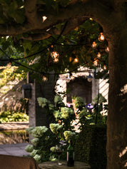 Bright light Pkt inkl. clear bulbs