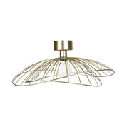 Plafond/Vägglampa Ray Borstad Mässing