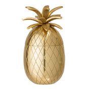 Yuichi Ishink Ananas, Guld