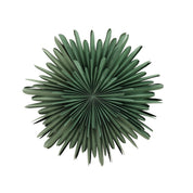 Sälen Adventsstjärna Ø80cm, Grön