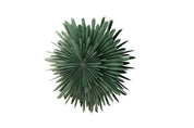 Sälen Adventsstjärna Ø80cm, Grön