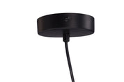 Varekil Taklampa Rotting, Natur