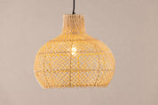 Varekil Taklampa Rotting, Natur