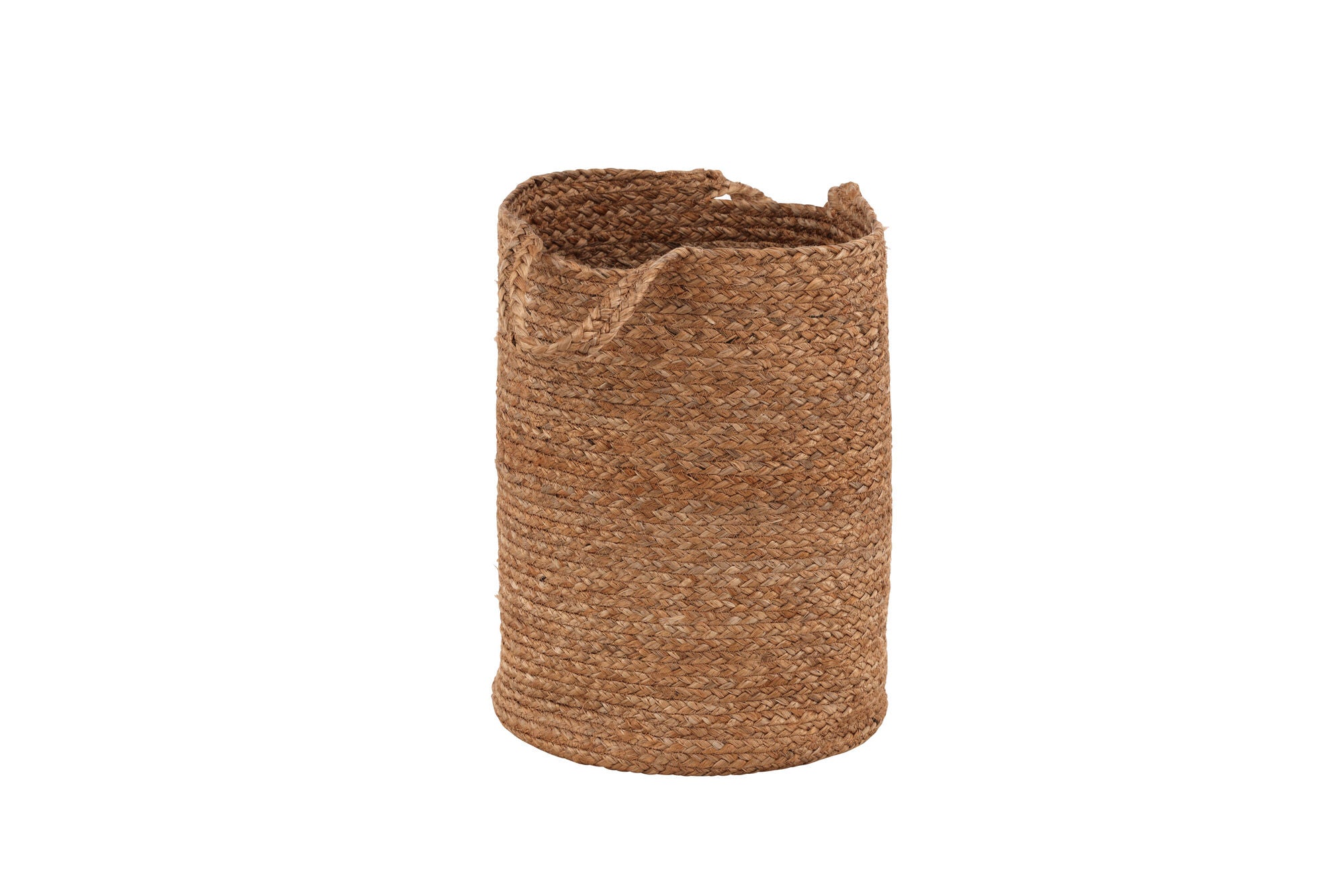 Poppy Korg, Jute