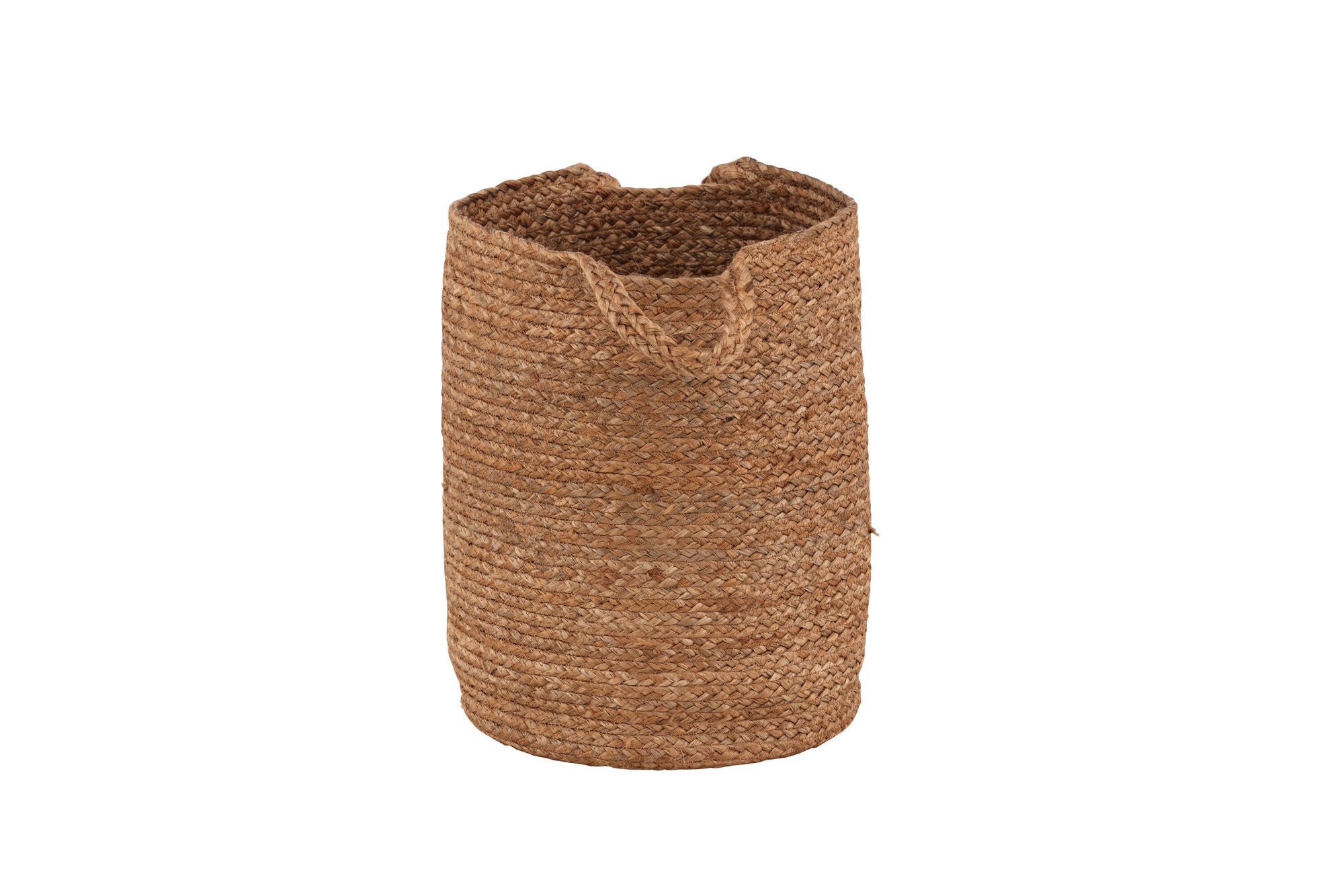 Poppy Korg, Jute