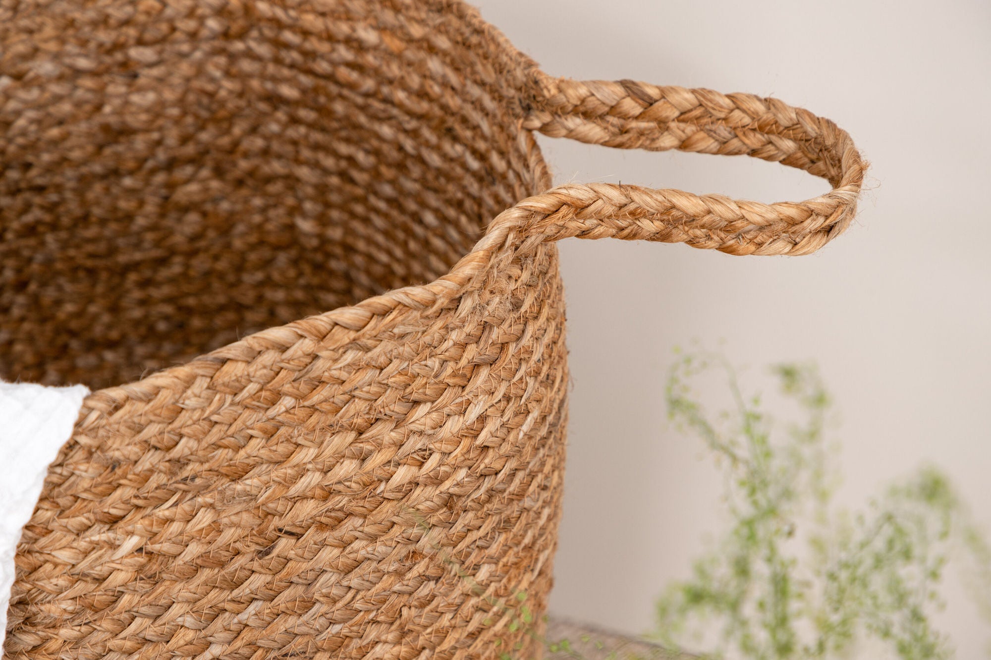 Poppy Korg, Jute