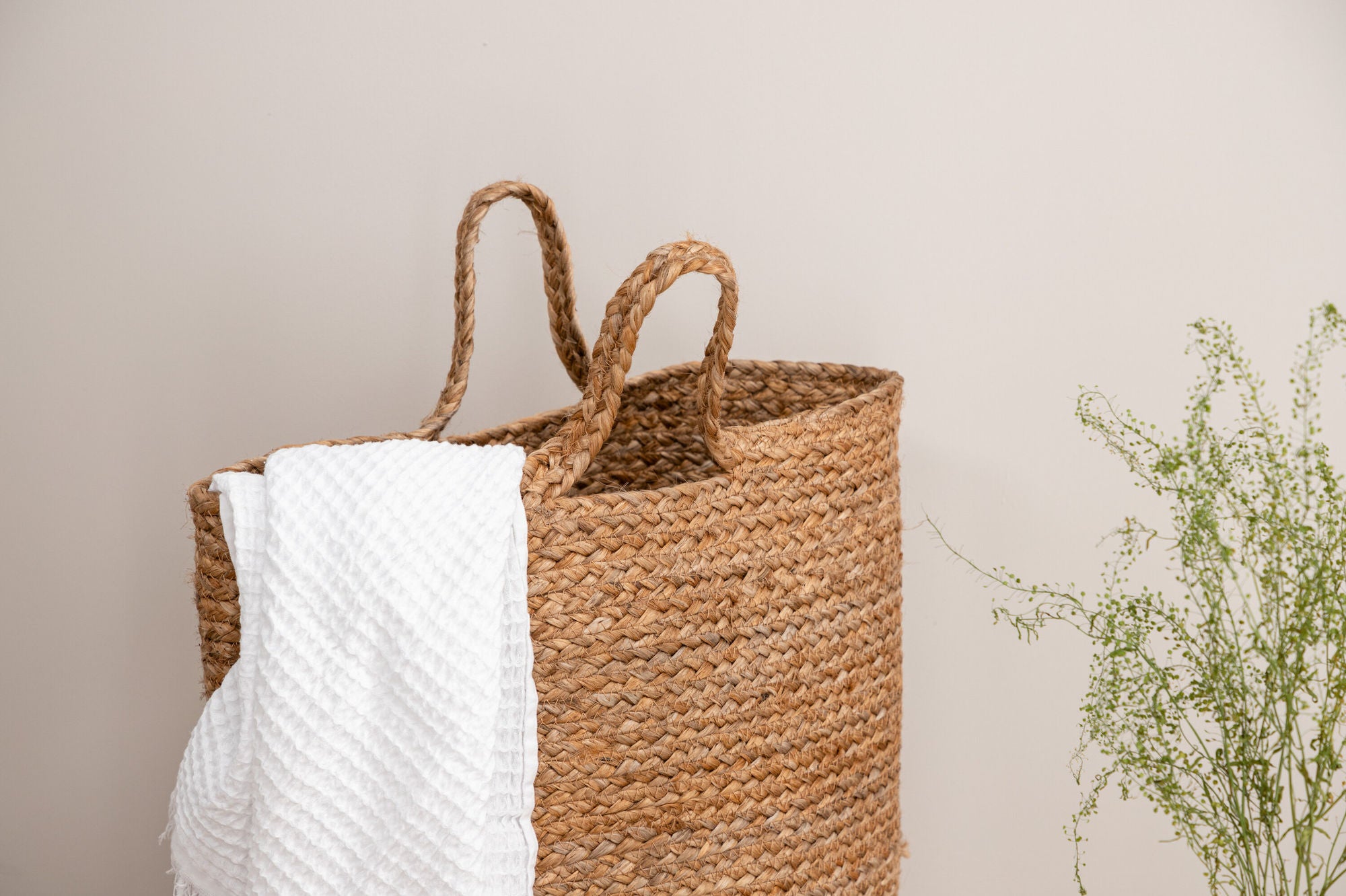 Poppy Korg, Jute