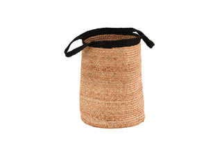 Poppy Korg, Jute