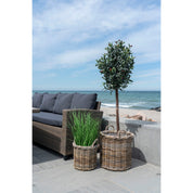 Gili korgar 2-Pack, Natur
