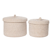 Sebal korgar, Beige