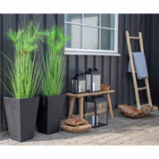 Dekorationsstege, Natur