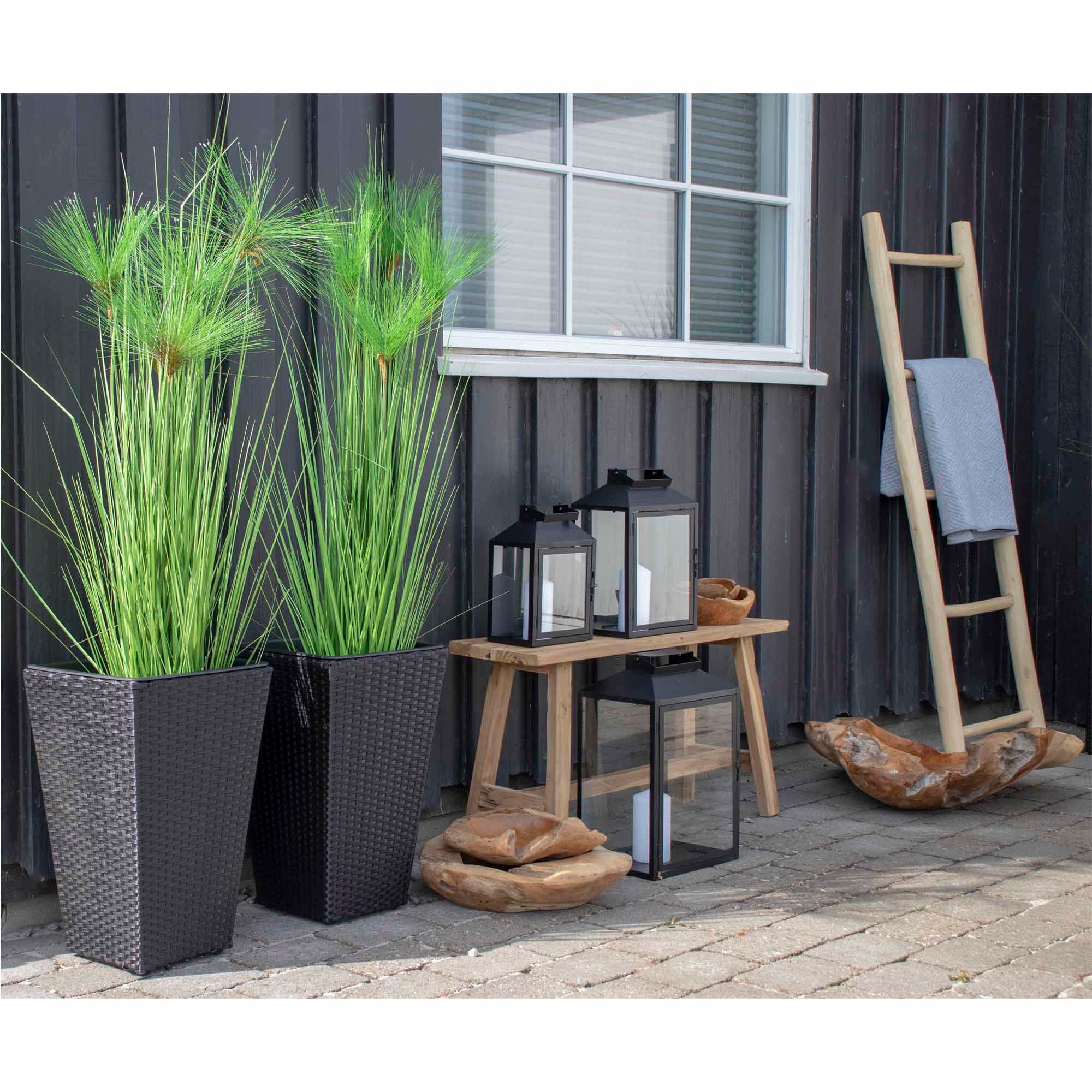 Dekorationsstege, Natur
