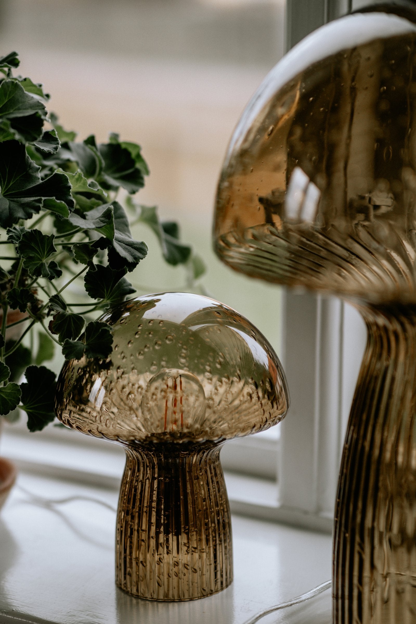 Bordslampa Fungo 16 Special Edition Brun