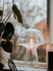 Bordslampa Fungo 30 Special Edition Klar