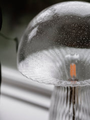 Bordslampa Fungo 30 Special Edition Klar