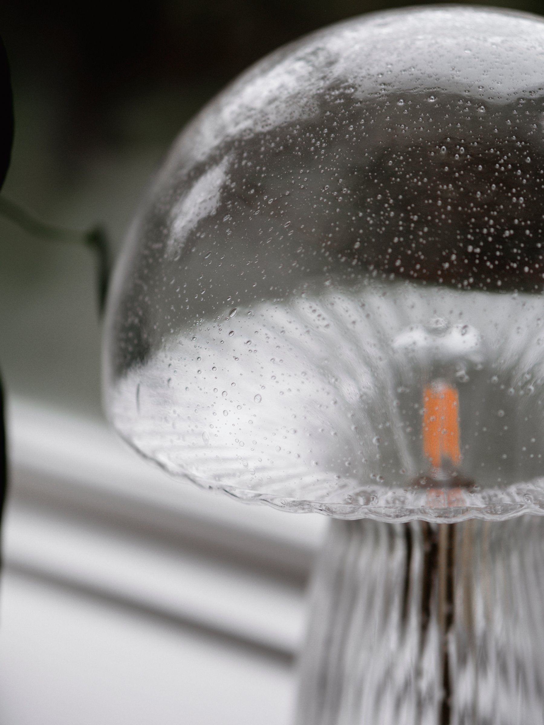 Bordslampa Fungo 30 Special Edition Klar