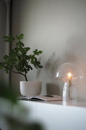 Bordslampa Fungo 22 Special Edition Klar