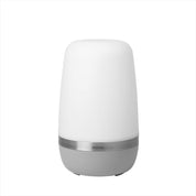 Spirit LED utomhuslampa 25 cm Platinum Gray