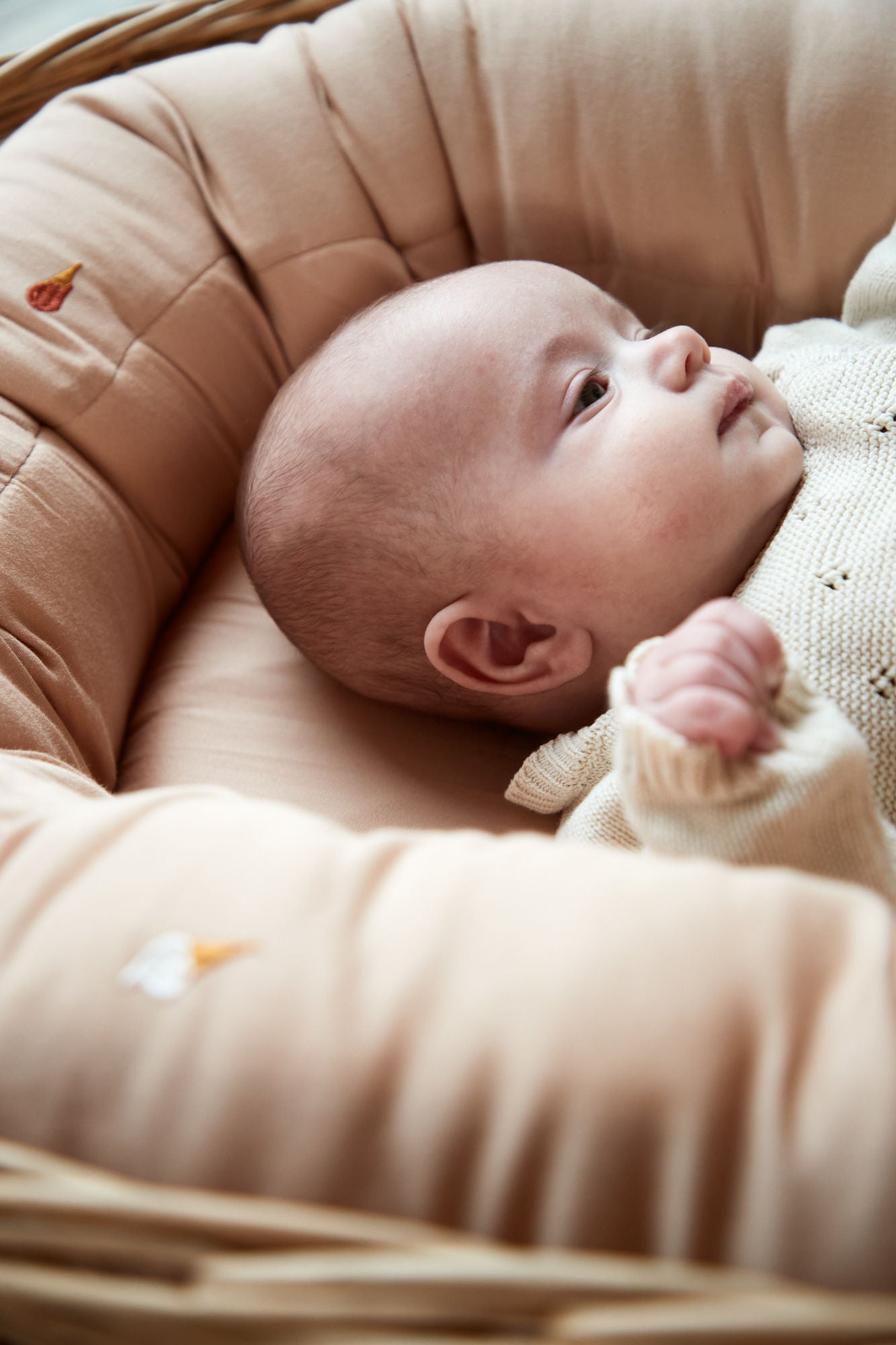 Babynest 2nd gen, Frappé