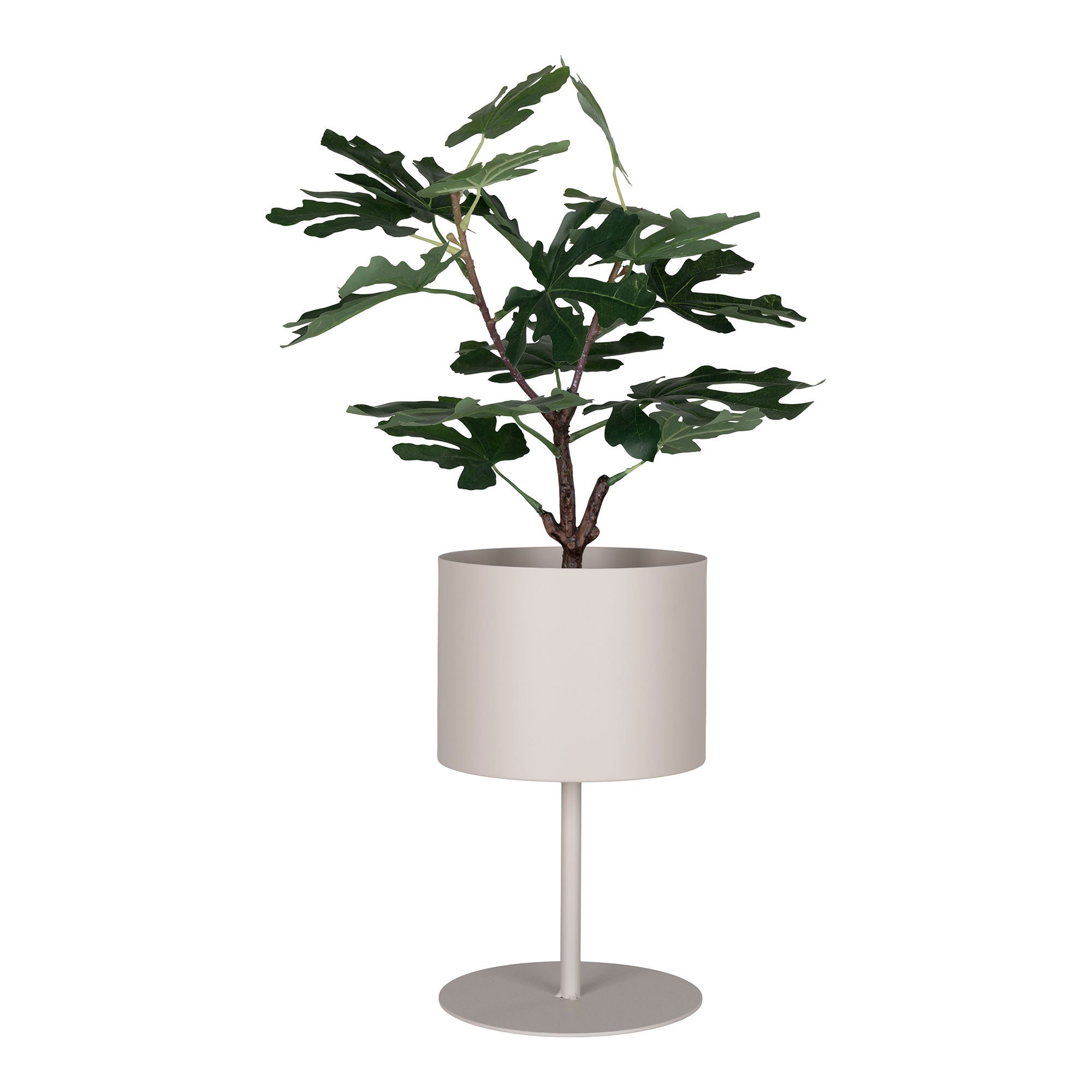 Trofa blomkruksställ, Sand