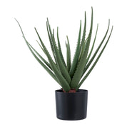 Konstväxt Aloe Vera H51cm, Grön
