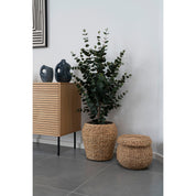 Konstväxt Eukalyptusträd H120cm, Grön