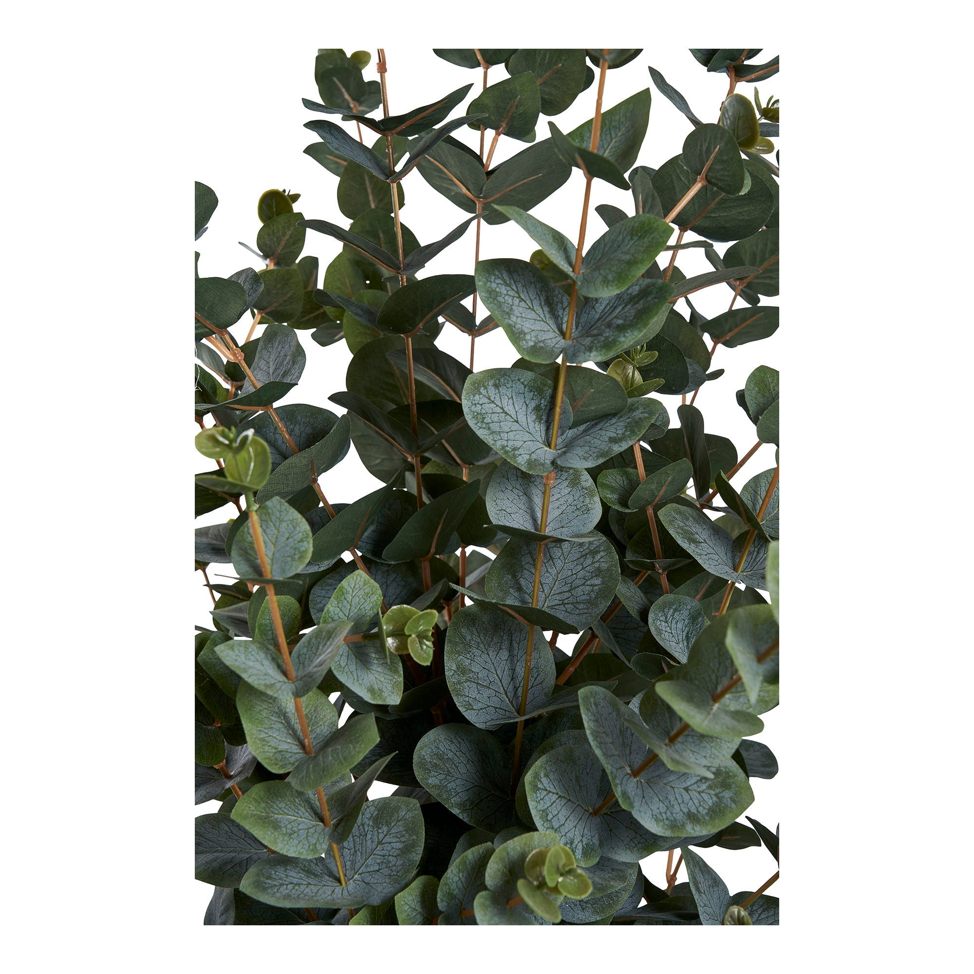 Konstväxt Eukalyptusträd H120cm, Grön
