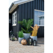 Konstväxt Areca-palm H175cm, Grön