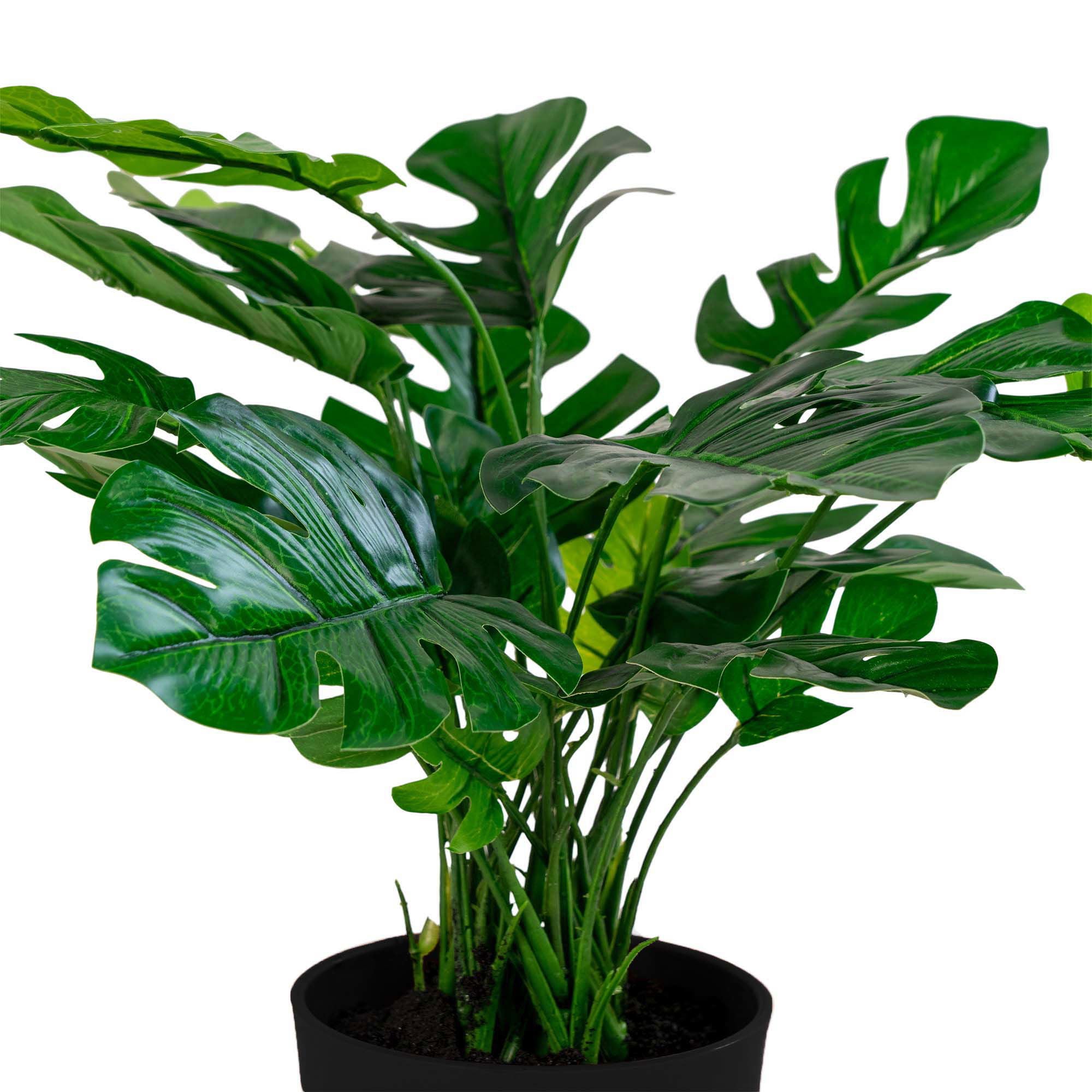 Konstväxt Monstera H45cm, Grön