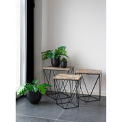 Konstväxt Monstera H45cm, Grön