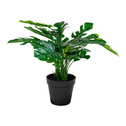 Konstväxt Monstera H45cm, Grön