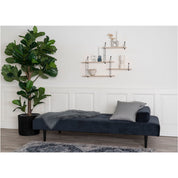Konstväxt Fikus lyrata H190cm, Grön