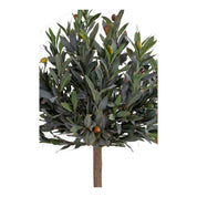 Konstväxt Olivträd H120cm, Grön