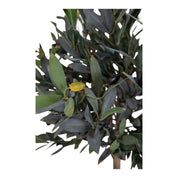 Konstväxt Olivträd H120cm, Grön