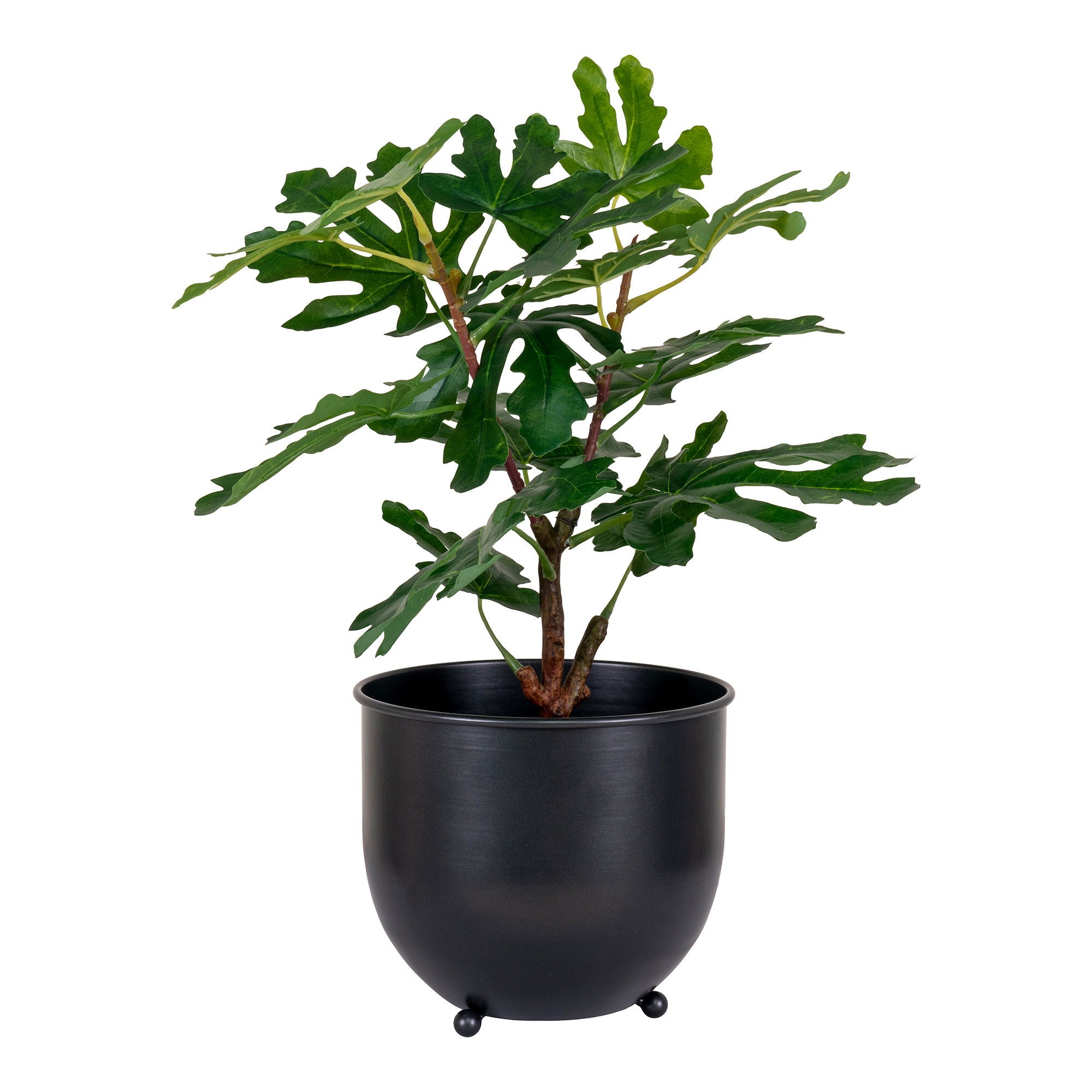 Konstväxt Fikusträd H150cm, Grön