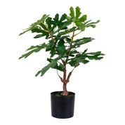 Konstväxt Fikusträd H150cm, Grön