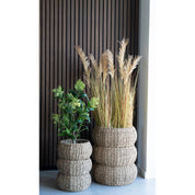 Konstväxt Skimmia-träd  H75cm, Grön
