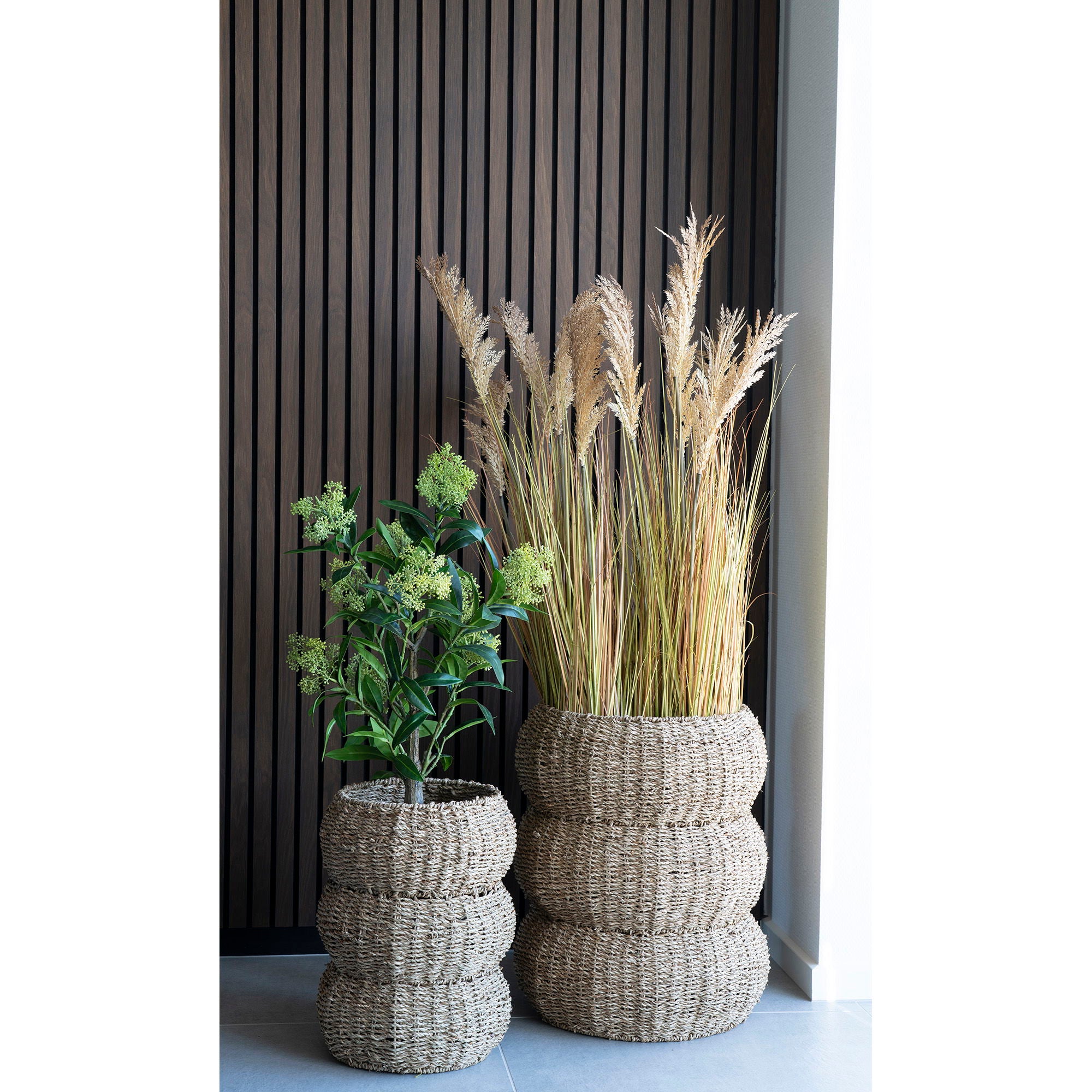 Konstväxt Skimmia-träd  H75cm, Grön