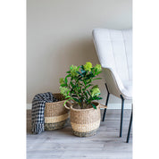 Konstväxt Skimmia-träd  H75cm, Grön