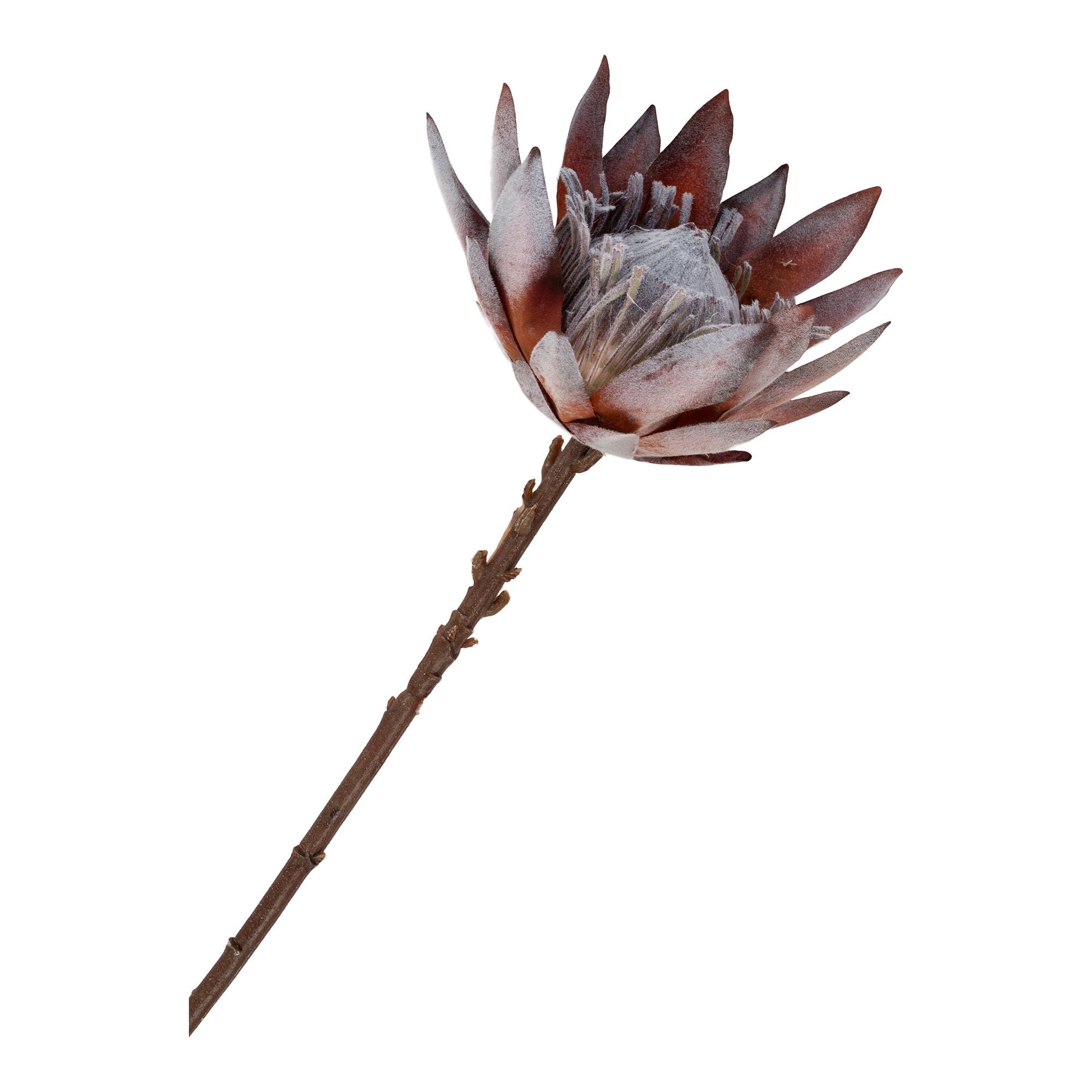 King Protea Konstgjord Bukett