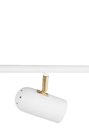 Plafond Swan 5 Vit