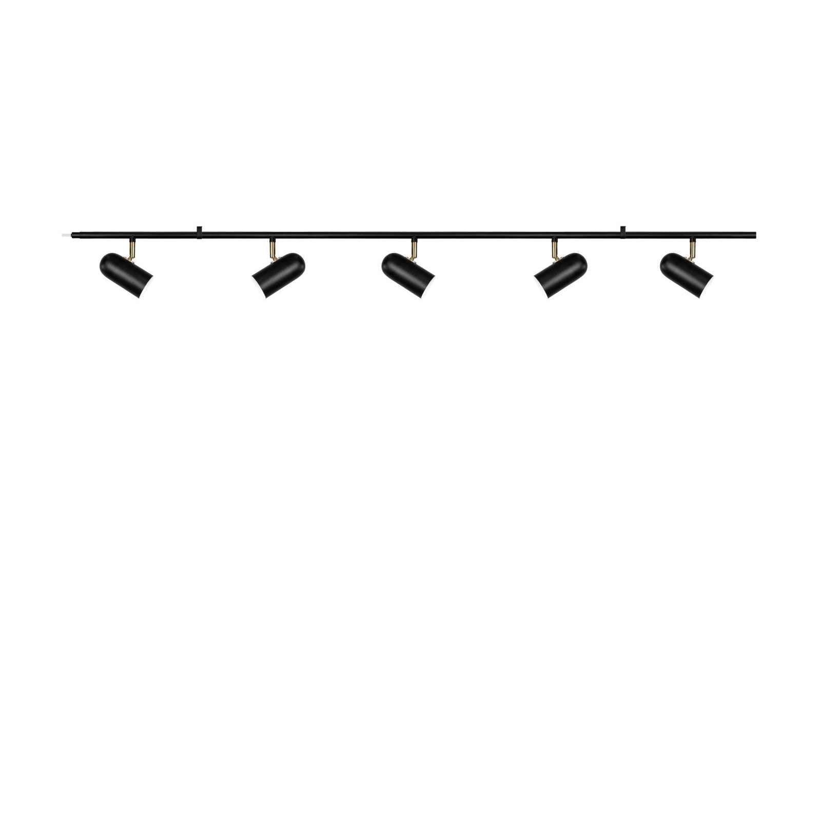 961511.jpg